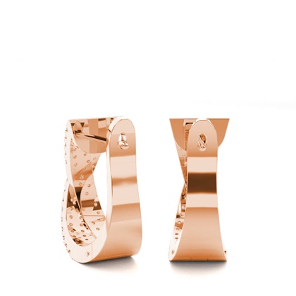 Rose Gold Earrings