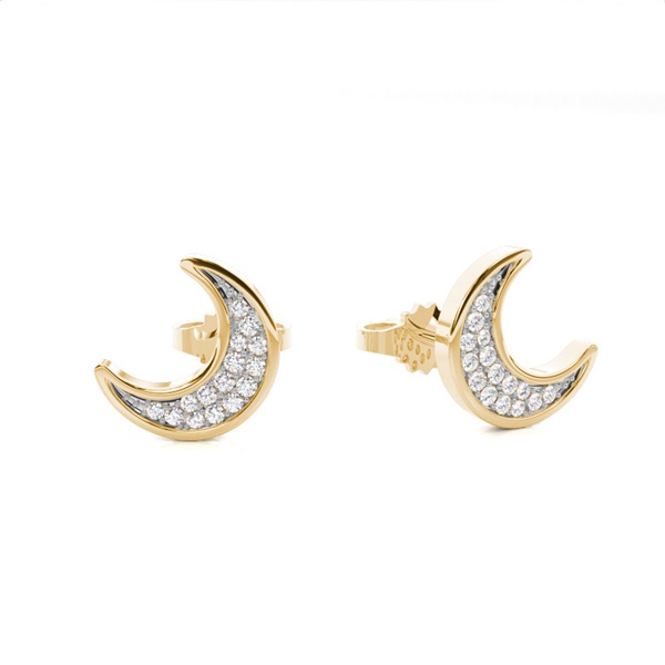 Pave Setting Round Diamond Stud Earring