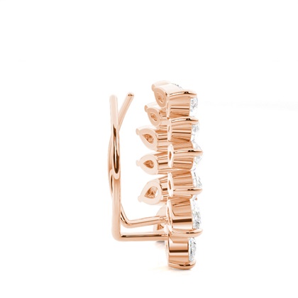 Zinken -Diamant -Ohrkletterer