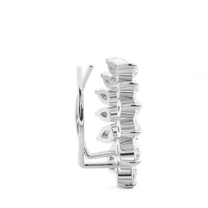 Zinken -Diamant -Ohrkletterer