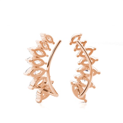 Zinken -Diamant -Ohrkletterer