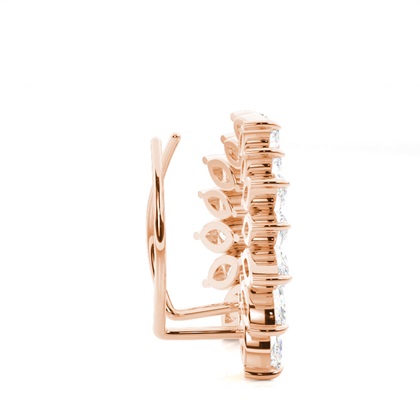 Zinken -Diamant -Ohrkletterer