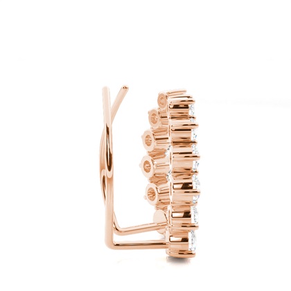 Zinken -Diamant -Ohrkletterer