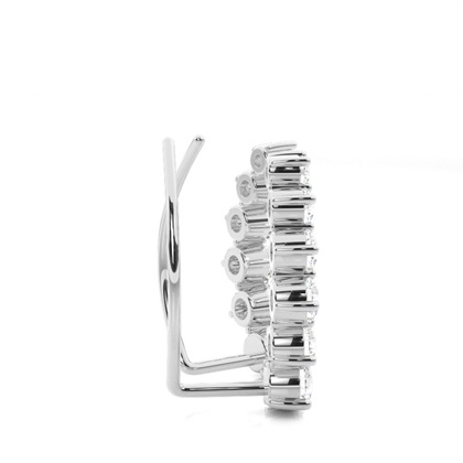 Zinken -Diamant -Ohrkletterer