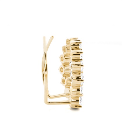 Zinken -Diamant -Ohrkletterer