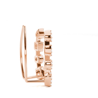 Zinken -Diamant -Ohrkletterer