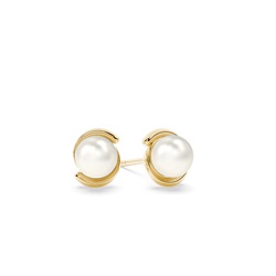 Classic swirl Pearl Stud Earring