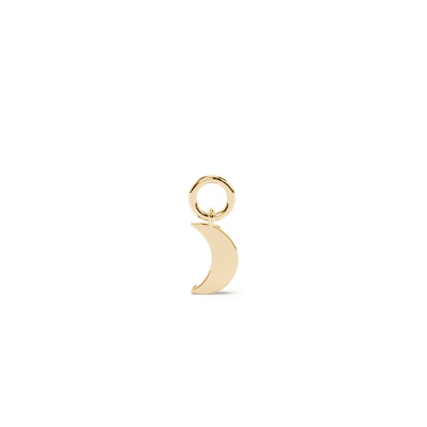 Cresent Moon Hoop Earring Charm