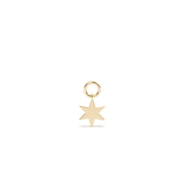 Star Hoop Earring Charm