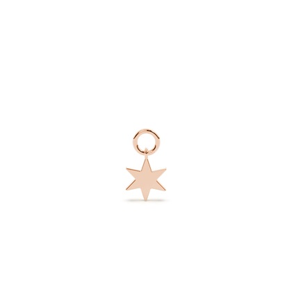 Rose Gold Earring charms Diamond Earrings