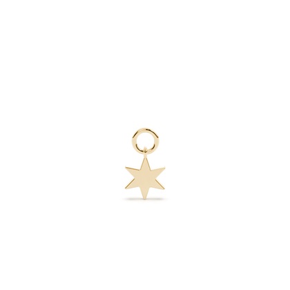 Yellow Gold Earring charms Diamond Earrings