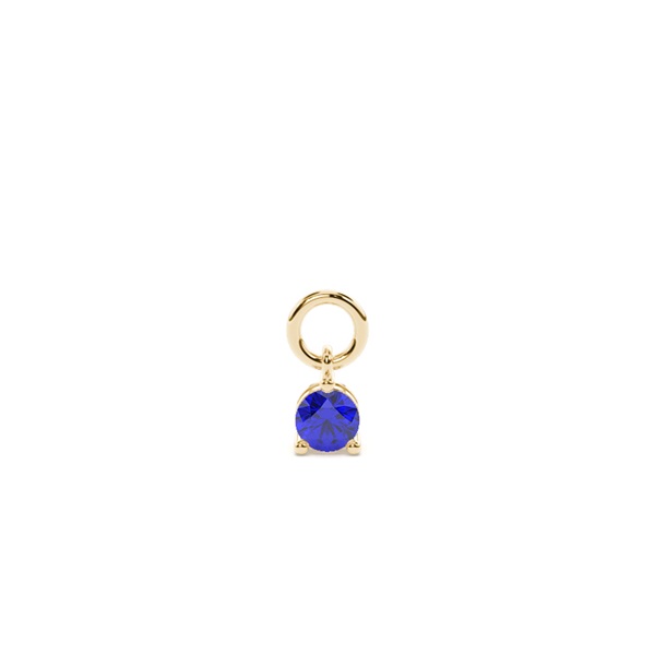 Tanzanite Prong Set Hoop Earring Charm