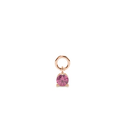 Rose Gold Earring charms Diamond Earrings