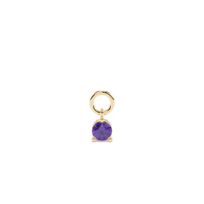 Yellow Gold Earring charms Diamond Earrings