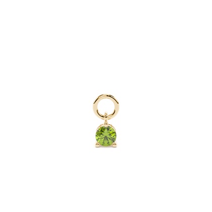 Yellow Gold Earring charms Diamond Earrings