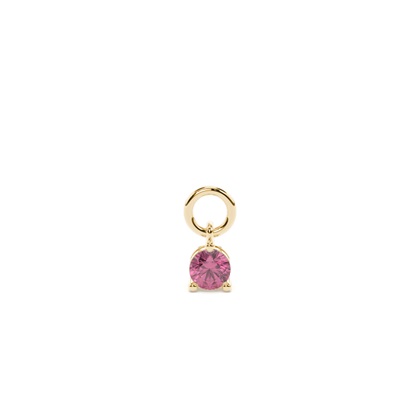 Yellow Gold Earring charms Diamond Earrings