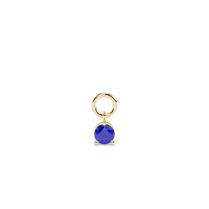 Yellow Gold Earring charms Diamond Earrings