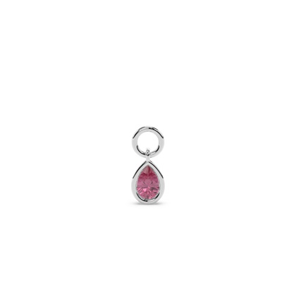 Pear Earring charms Diamond Earrings