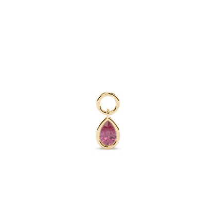 Pear Yellow Gold Earring charms Diamond Earrings