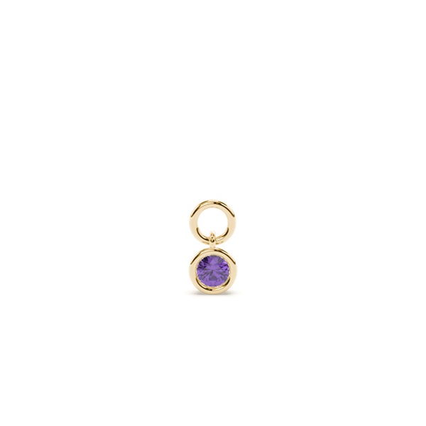 Amethyst Hoop Earring Charm