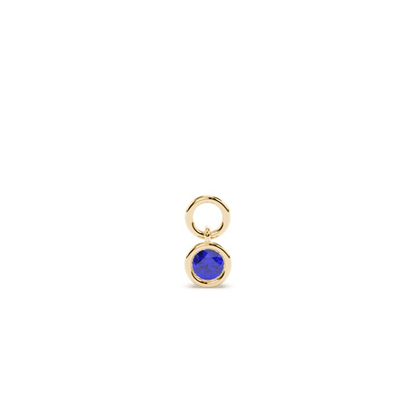Tanzanite Hoop Earring Charm