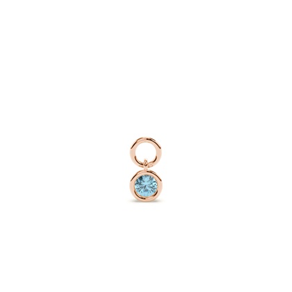 Rose Gold Earring charms Diamond Earrings