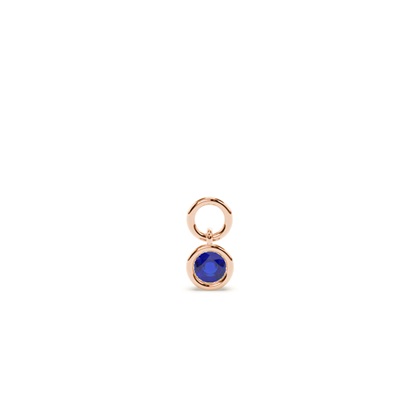 Rose Gold Earring charms Diamond Earrings