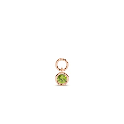 Rose Gold Earring charms Diamond Earrings