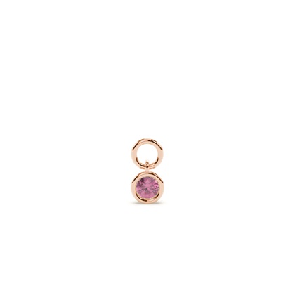 Rose Gold Earring charms Diamond Earrings