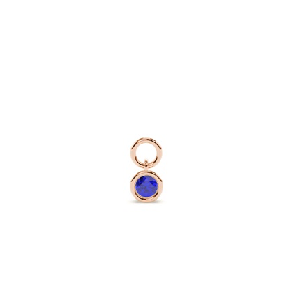 Rose Gold Earring charms Diamond Earrings