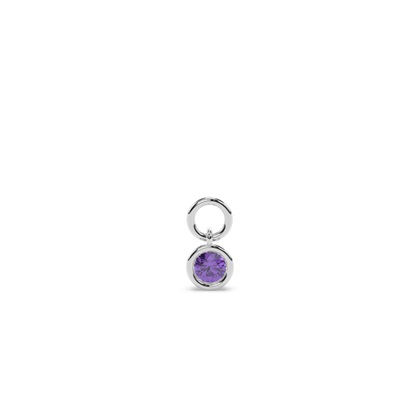 Amethyst Hoop Earring Charm
