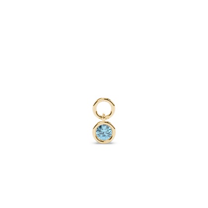 Yellow Gold Earring charms Diamond Earrings
