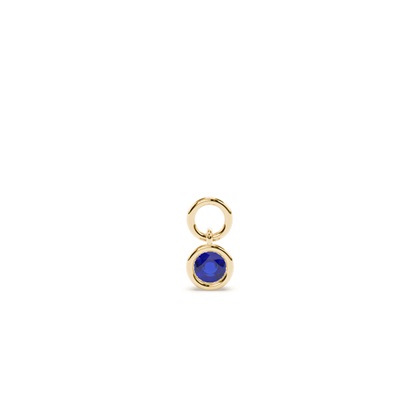 Yellow Gold Earring charms Diamond Earrings