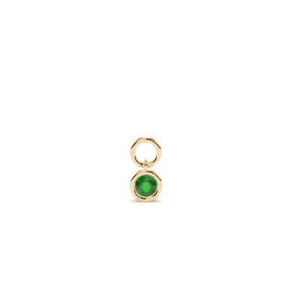Yellow Gold Earring charms Diamond Earrings