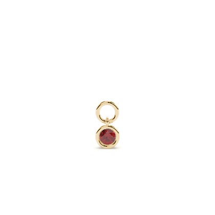 Yellow Gold Earring charms Diamond Earrings