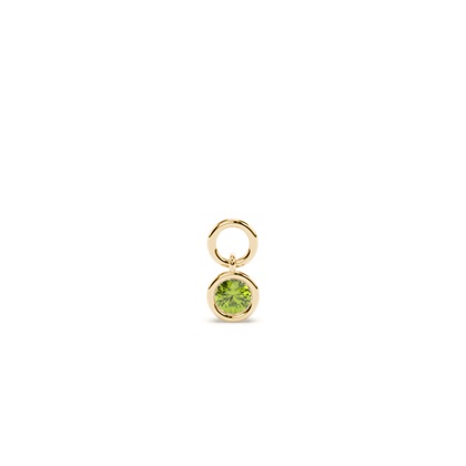 Yellow Gold Earring charms Diamond Earrings