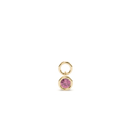 Yellow Gold Earring charms Diamond Earrings