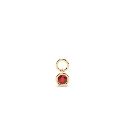 Yellow Gold Earring charms Diamond Earrings