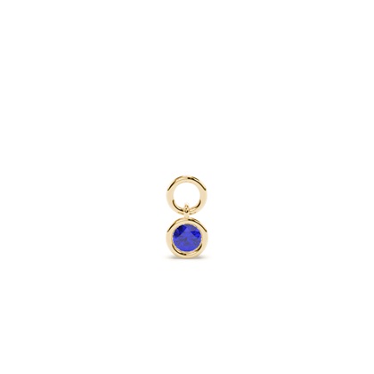 Yellow Gold Earring charms Diamond Earrings