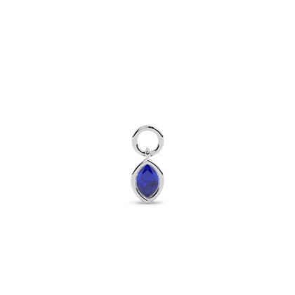 Marquise Earring charms Diamond Earrings
