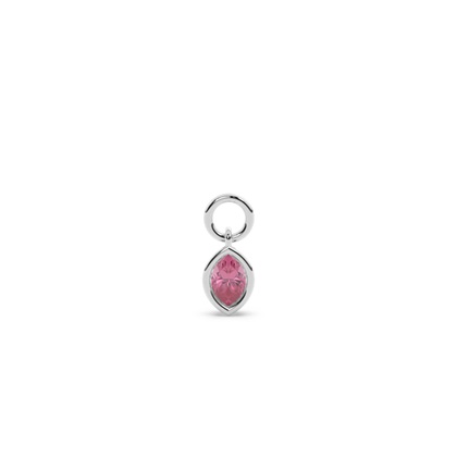 Marquise Earring charms Diamond Earrings