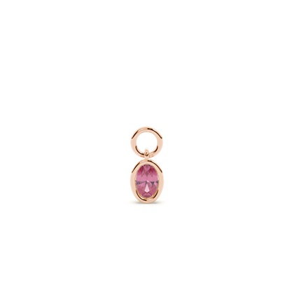 Oval Rose Gold Earring charms Diamond Earrings