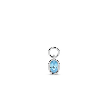Oval Earring charms Diamond Earrings