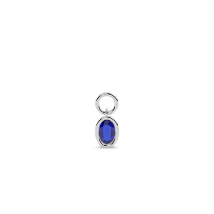 Oval Earring charms Diamond Earrings