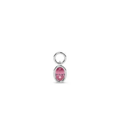 Oval Earring charms Diamond Earrings