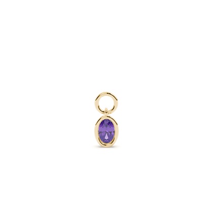 Oval Yellow Gold Earring charms Diamond Earrings