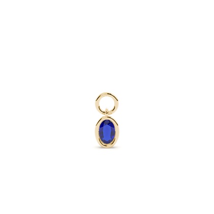 Oval Yellow Gold Earring charms Diamond Earrings