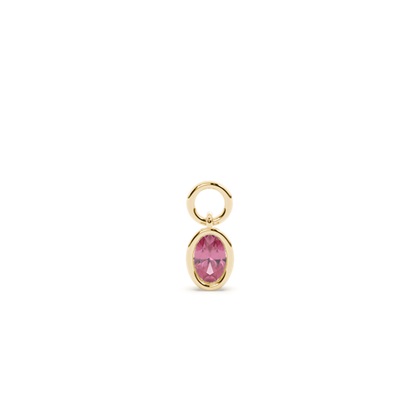 Oval Yellow Gold Earring charms Diamond Earrings