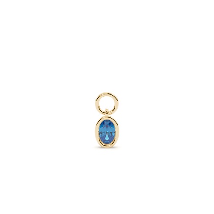 Oval Yellow Gold Earring charms Diamond Earrings