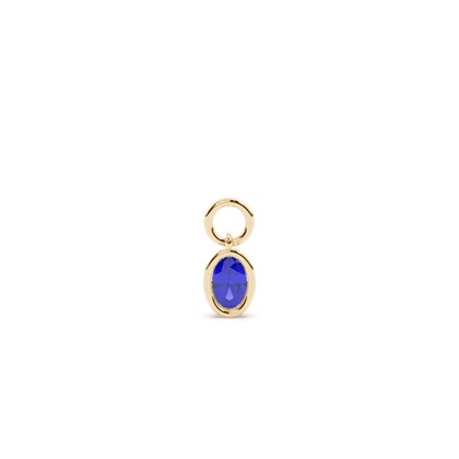 Oval Yellow Gold Earring charms Diamond Earrings
